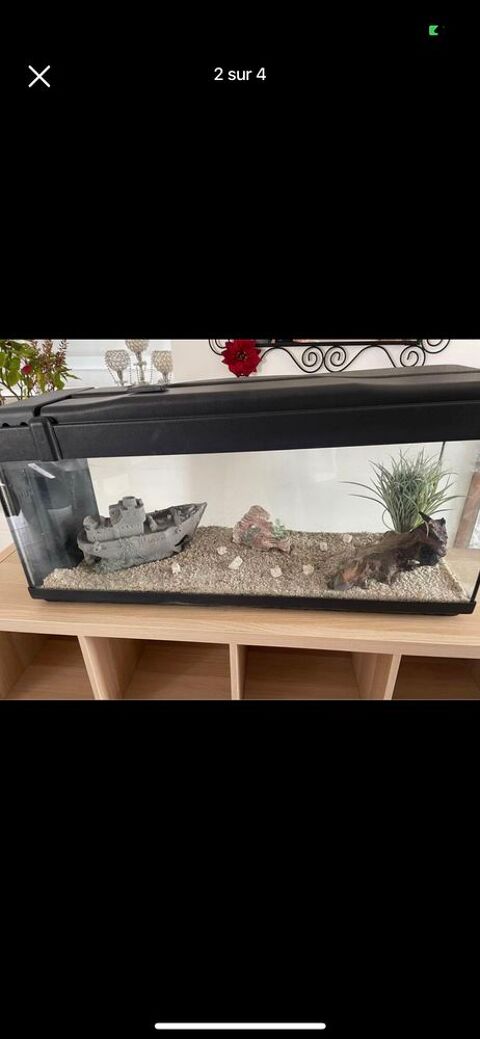 Aquarium 140 Lannion (22)