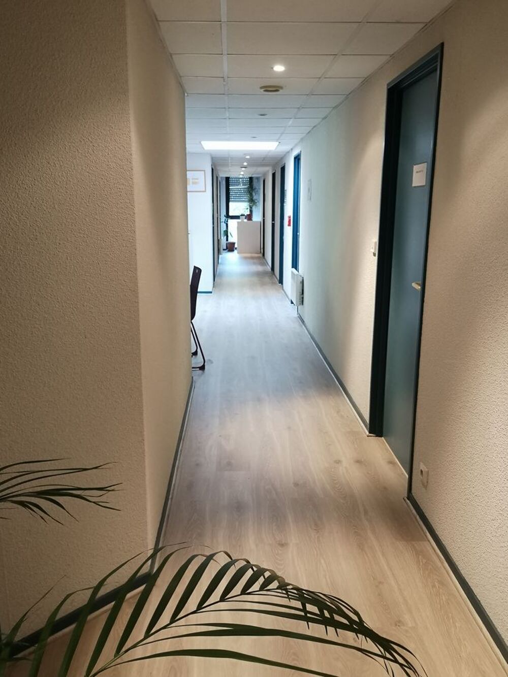 Location Autre bureau indépendant Toulouse
