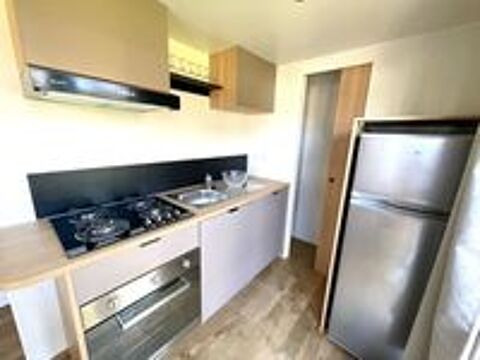  2024 occasion 40170 Saint-Julien-en-Born