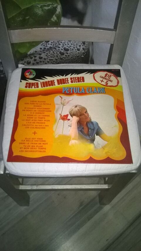 Vinyle Petula Clark
Super longue durée
1974
Bon etat
Coe 10 Talange (57)