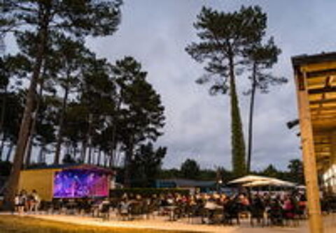  2026 occasion 40170 Saint-Julien-en-Born
