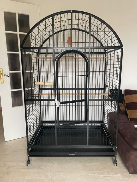 Cage perroquet 80 06200 Nice