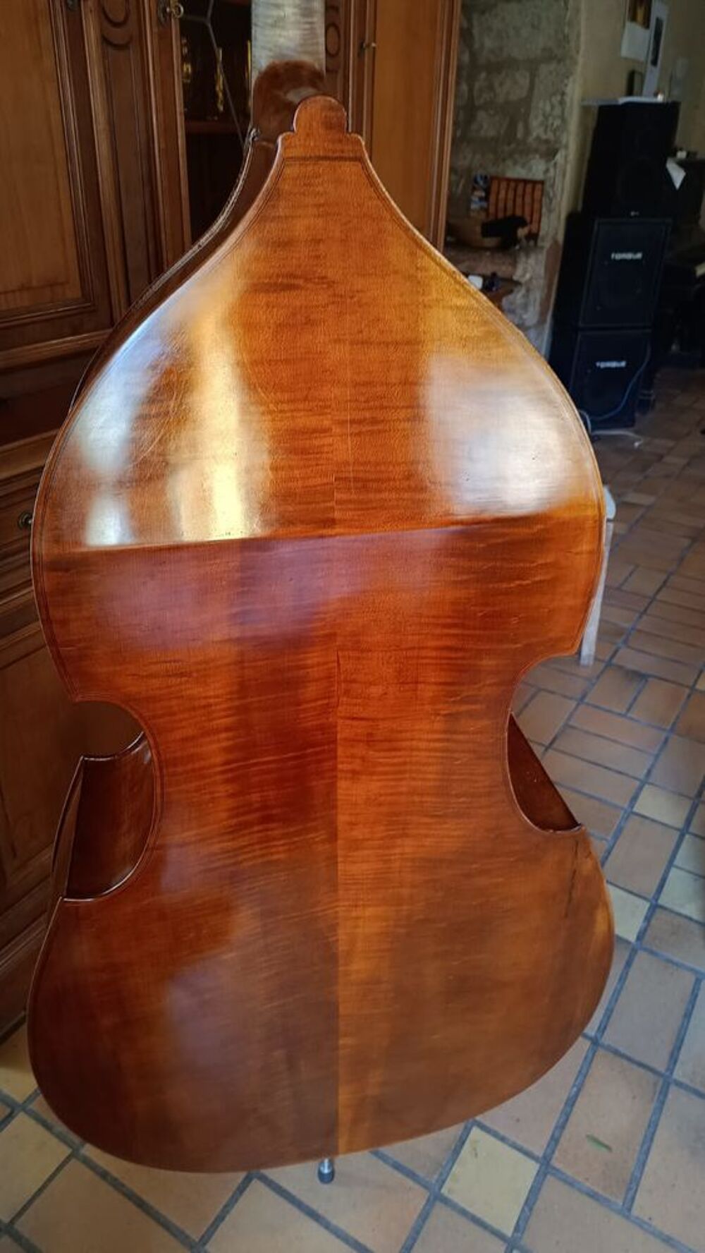  Contrebasse Rafael Rupa (2025) Luthier de Reghin Instruments de musique