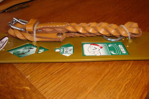 collier pour chien. 59890 Quesnoy-sur-dele