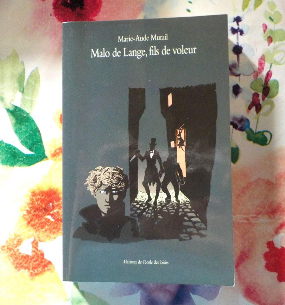 MALO DE LANGE, FILS DE VOLEUR de Marie-Aude MURAIL Maximax Livres et BD