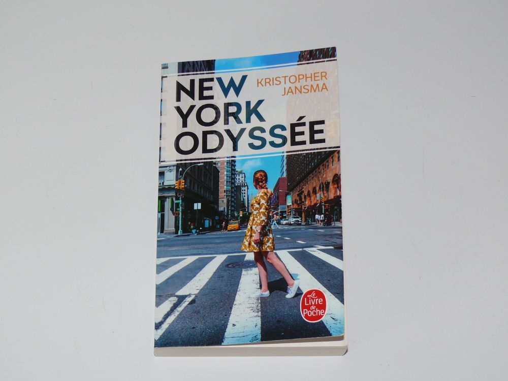 Livre : &quot;NEW YORK ODYSSEE&quot; Livres et BD