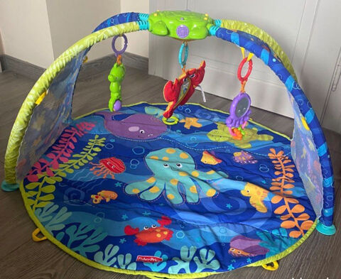 Tapis d'veil Fisher Price 25 Galluis (78)