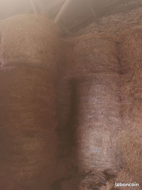 foin 20 85210 Sainte-hermine