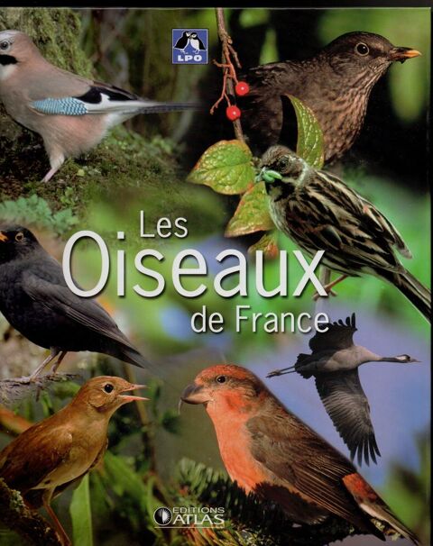 Classeur Les oiseaux de France - Editions Atlas 5 Cabestany (66)