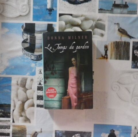 LE TEMPS DU PARDON de Donna MILNER France Loisirs Roman 4 Bubry (56)
