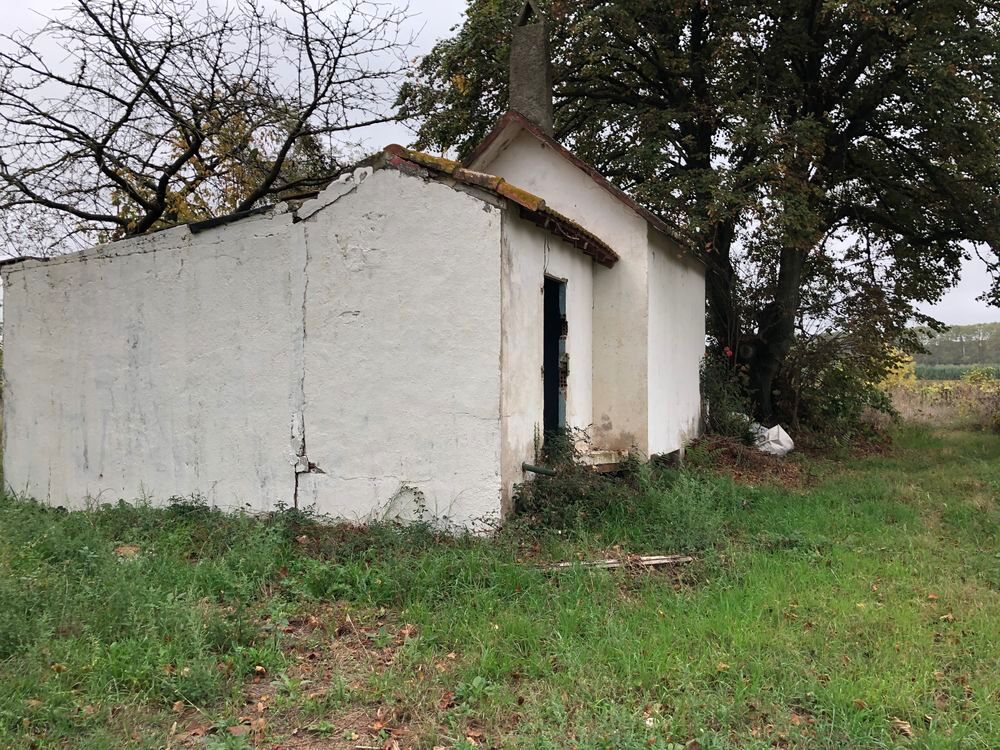 Vente Terrain Mazet 50m2 sur 1 hectare Lézignan-la-cèbe