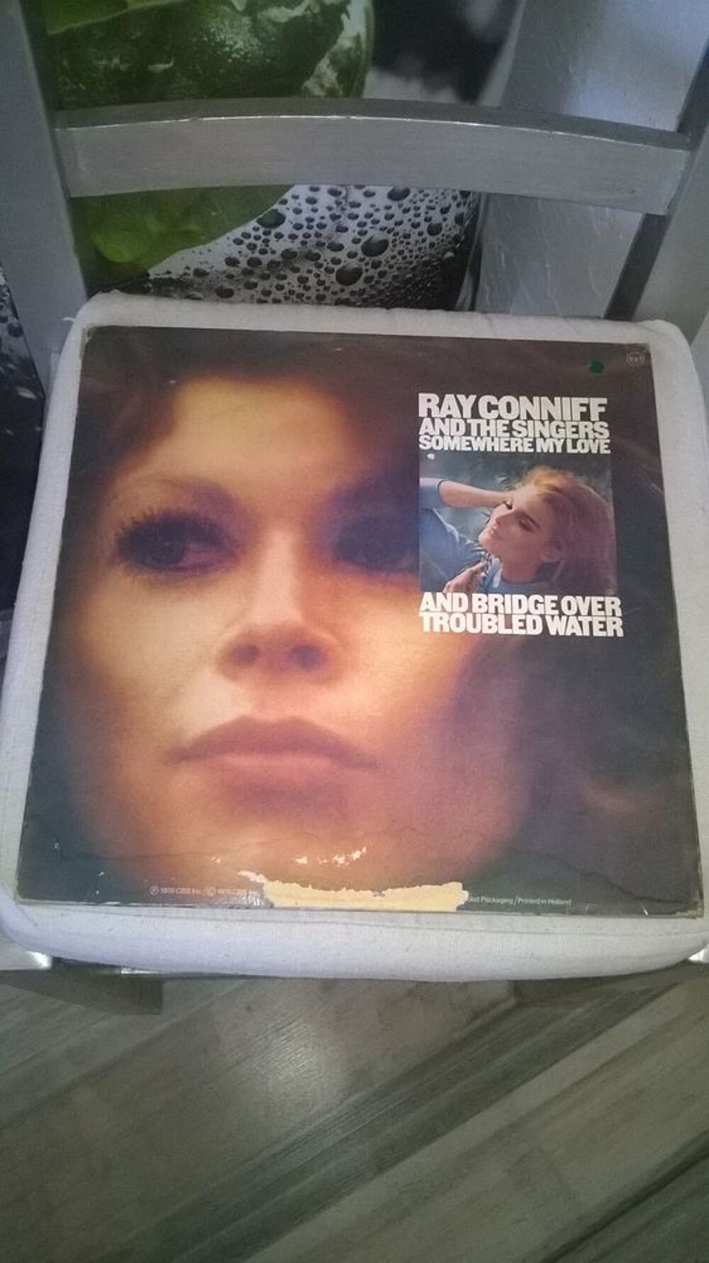 Vinyle RAY CONNIFF AND The Singers Somewhere My Love
1976
CD et vinyles