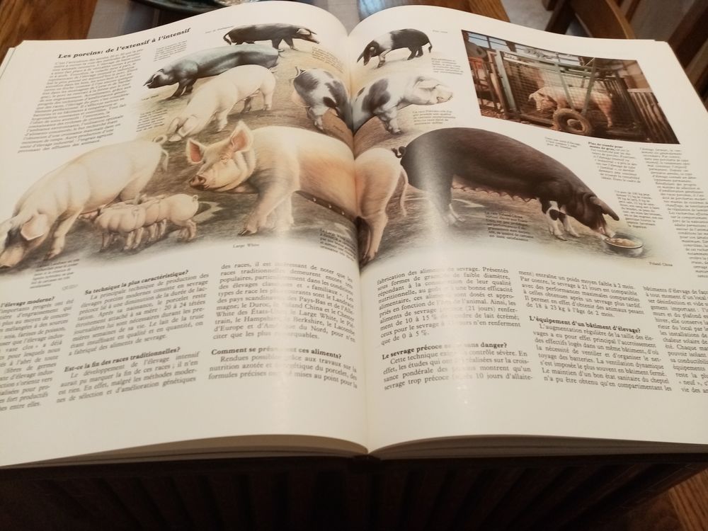 GRAND QUID ILLUSTR&Eacute; - Encyclop&eacute;die Robert Laffont, 1979 Livres et BD