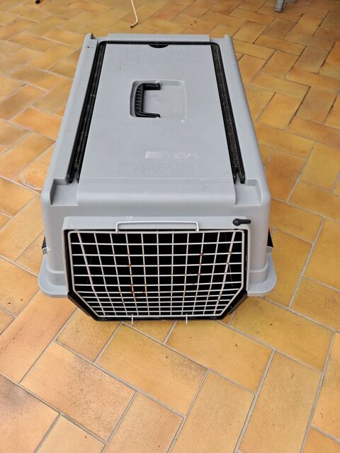 Caisse pour chien Saint-Saturnin-sur-Loire (49)