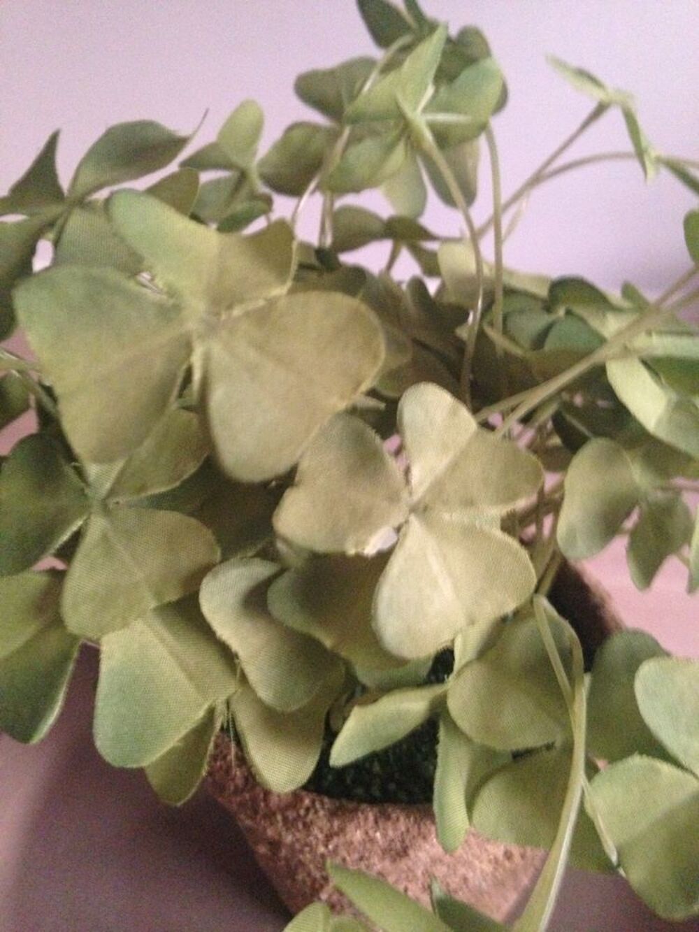 plante artificielle Décoration