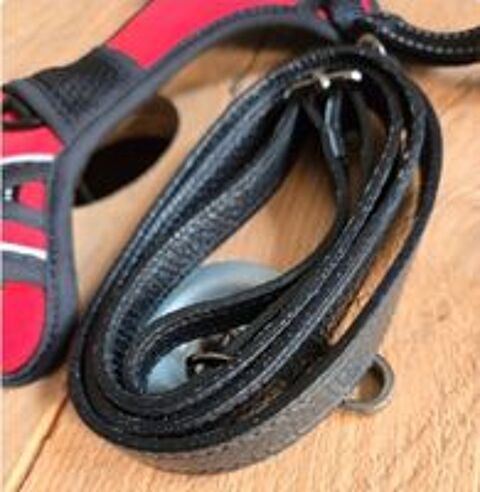   Harnais chien taille S NEUF 