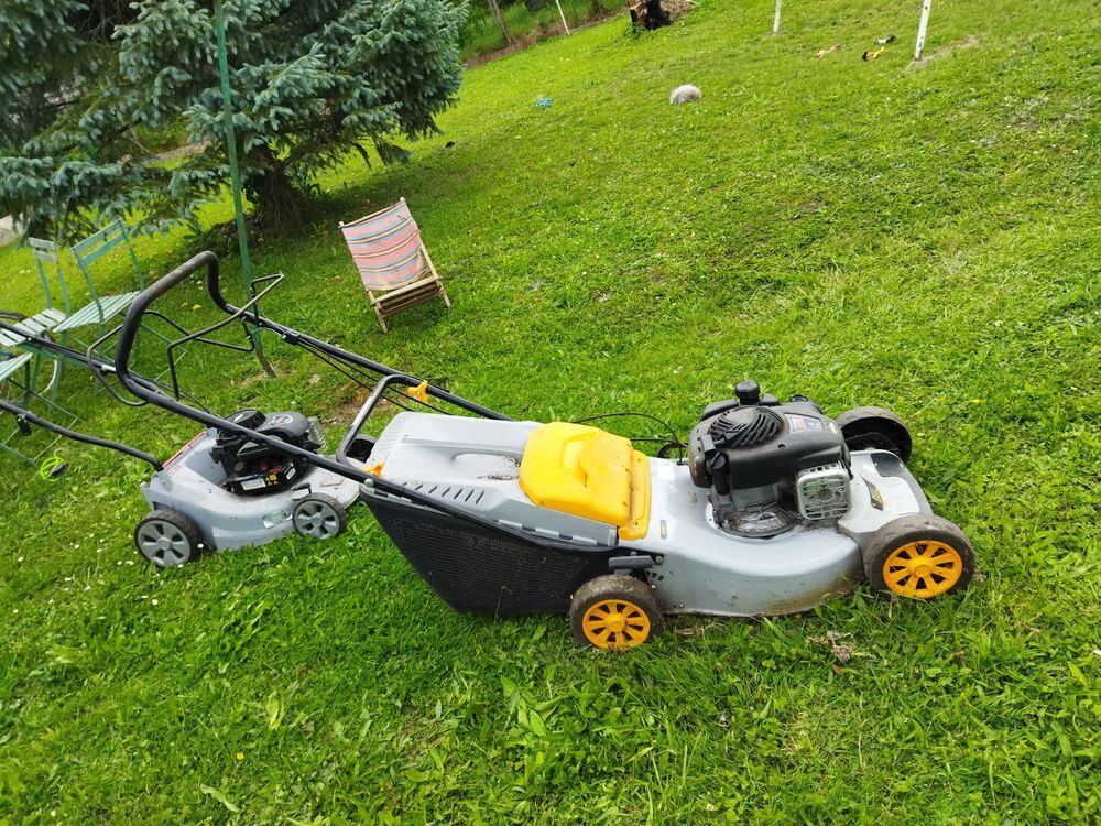 tondeuse Jardin