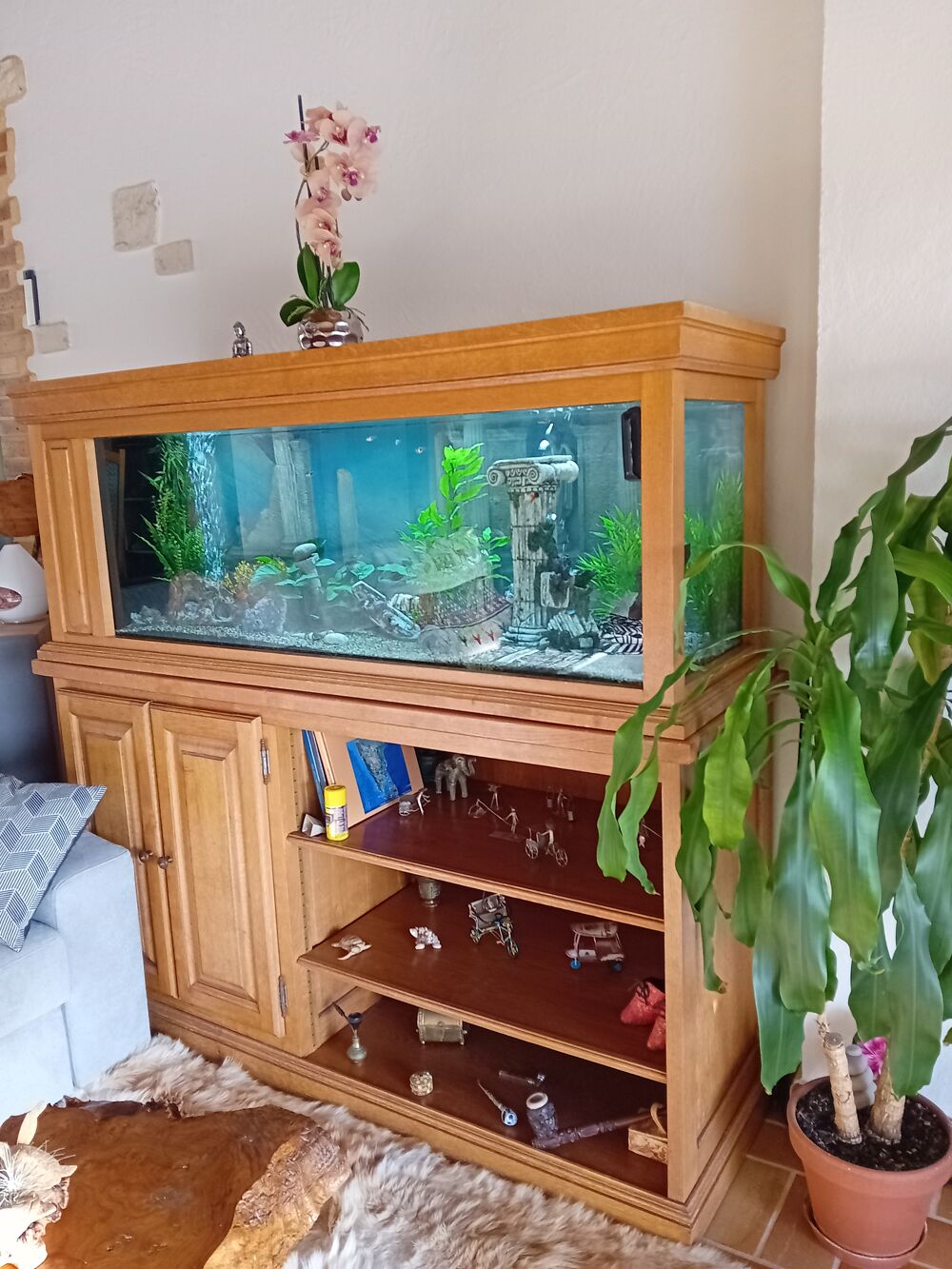 Aquarium Décoration