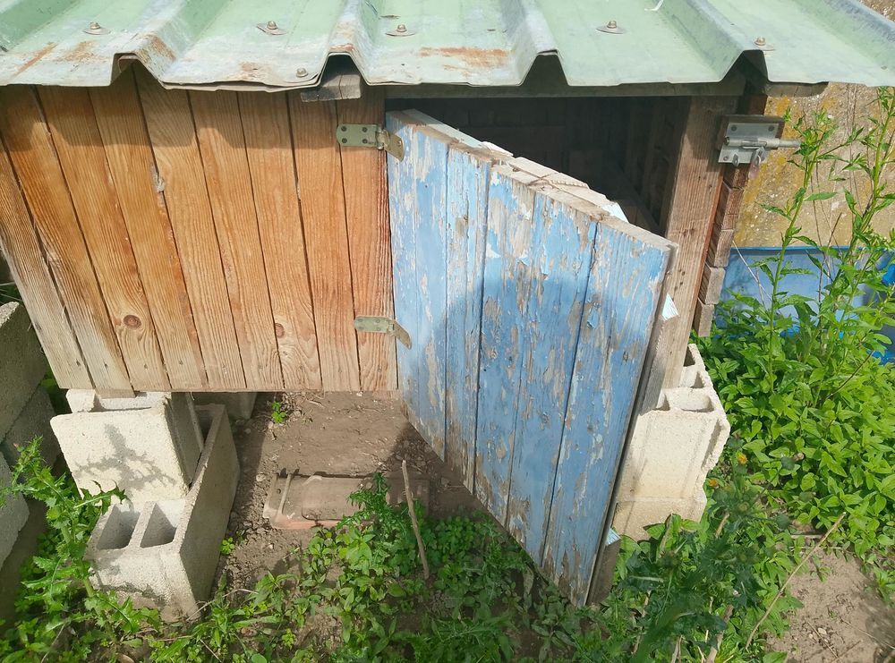 Maison pour poules Jardin