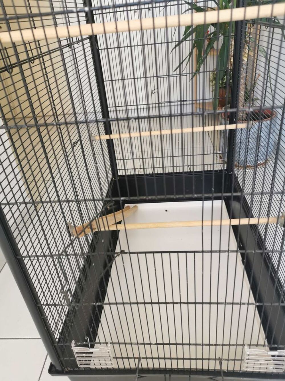 Cage oiseaux neuve Jardin