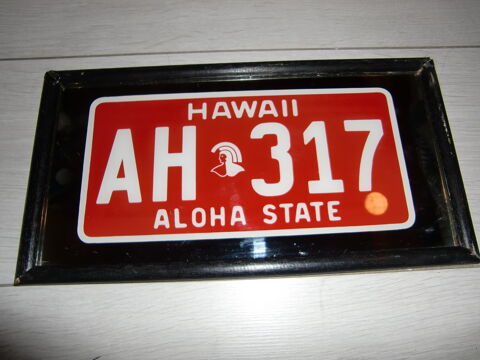 ?Tableau plaque de voiture Aloha/Hawaii/USA 5 Rueil-Malmaison (92)