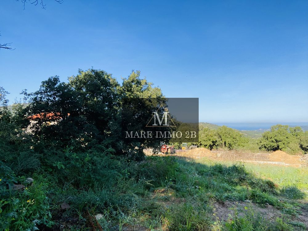 Vente Terrain Terrain à bâtir de 2025m² Calvi