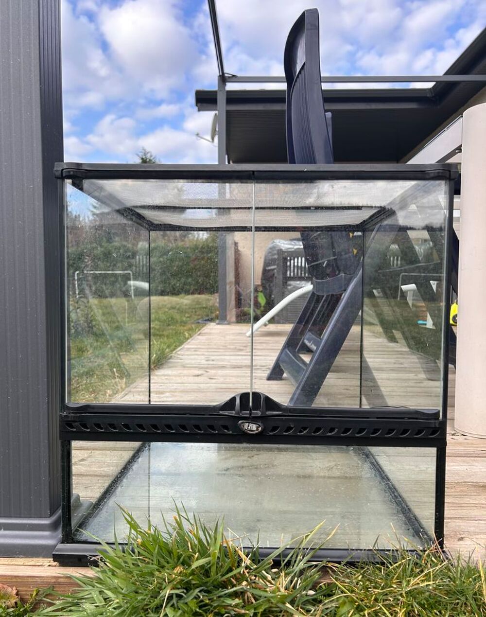 Terrarium en verre Décoration