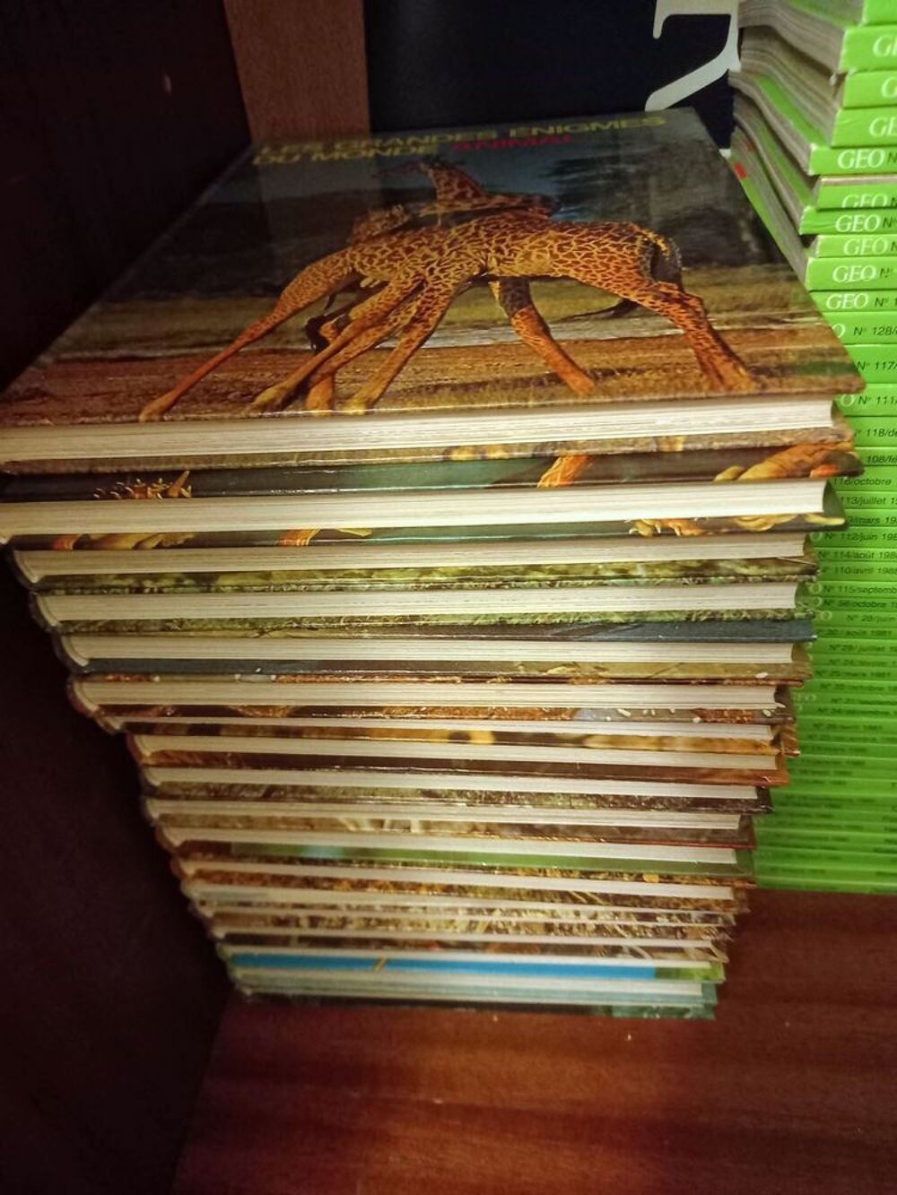 Livres sur le monde animal Décoration