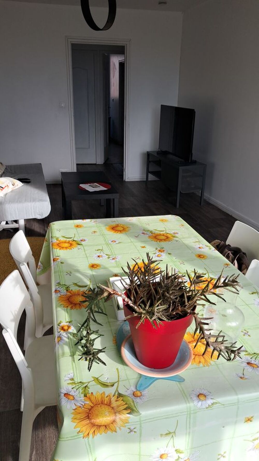 Location Colocation Chambre 14 m2 dans un appartement de 102 m2 proche du RER A. Cergy