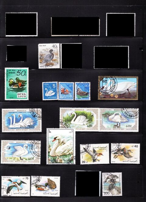 lot de 31 timbres du MONDE avec des PALMIPEDES 2 Les Églisottes-et-Chalaures (33)