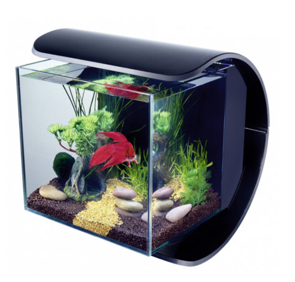 aquarium tetra complet Décoration