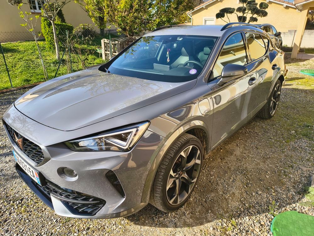 Formentor 1.4 e-HYBRID 204 ch DSG6 Business Edition 2023 occasion 31120 Roques