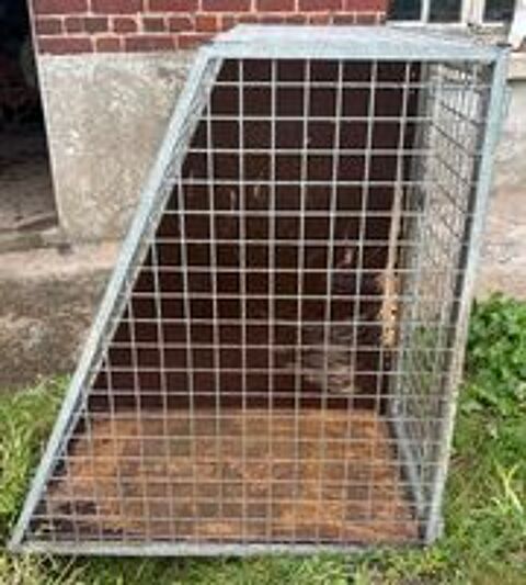  Cage chien 