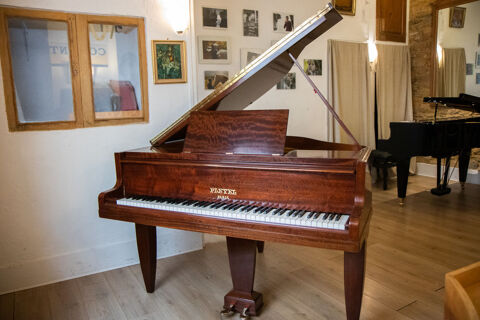 Pleyel crapaud  4950 Lyon 4 (69)