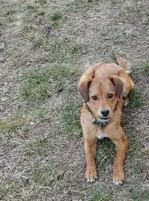 LORA 320 27620 Gasny