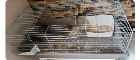 Cage lapin  70 Nelling (57)