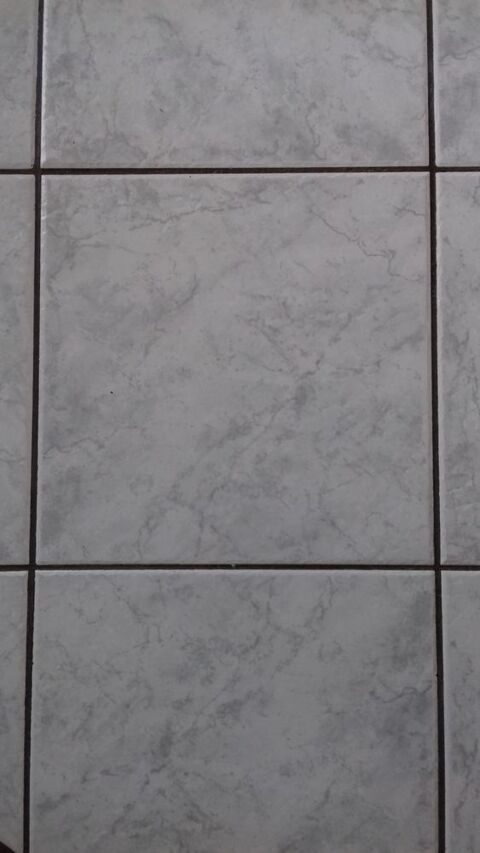 Carrelage 30X30 de Desvres 0 Fressin (62)