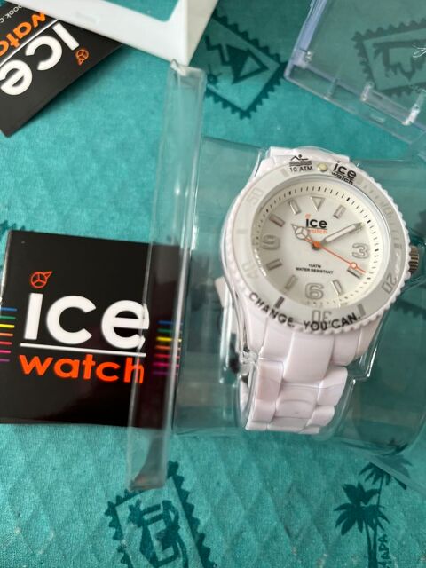 ice Swatch Blanche 45 Annecy (74)