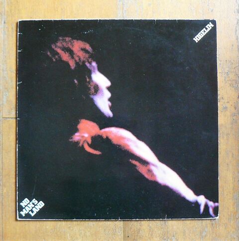 Vinyles divers artistes franais, trangers et B.O 1 Argenteuil (95)