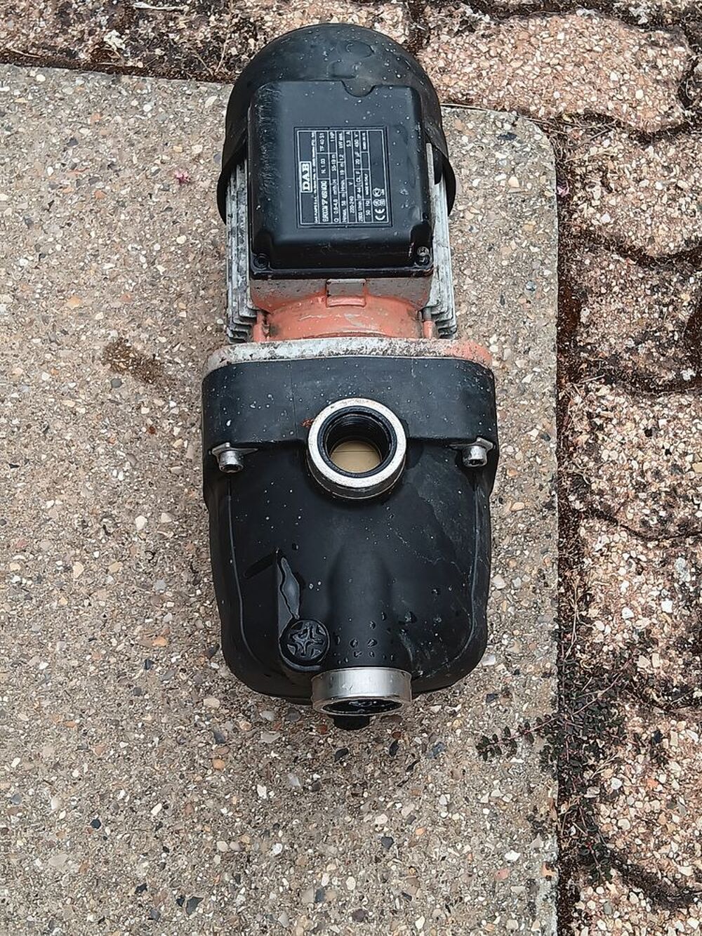 SURPRESSEUR DAB POUR ROBOT PISCINE Jardin