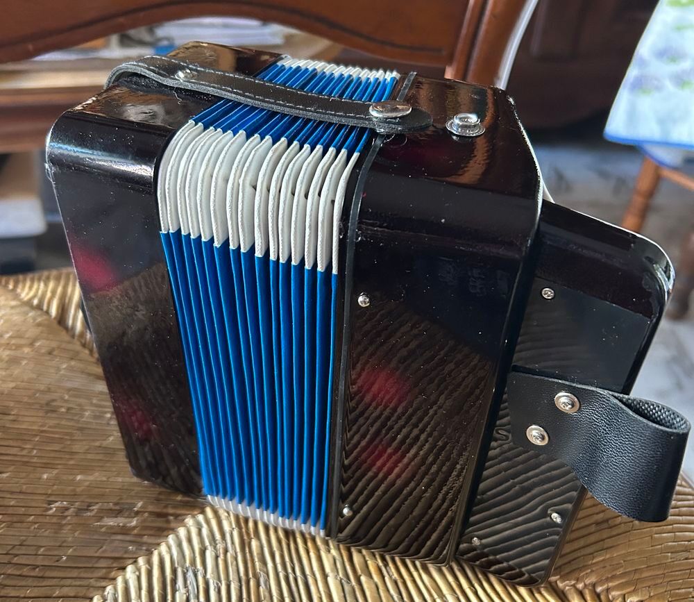 Accord&eacute;on enfant Jeux / jouets