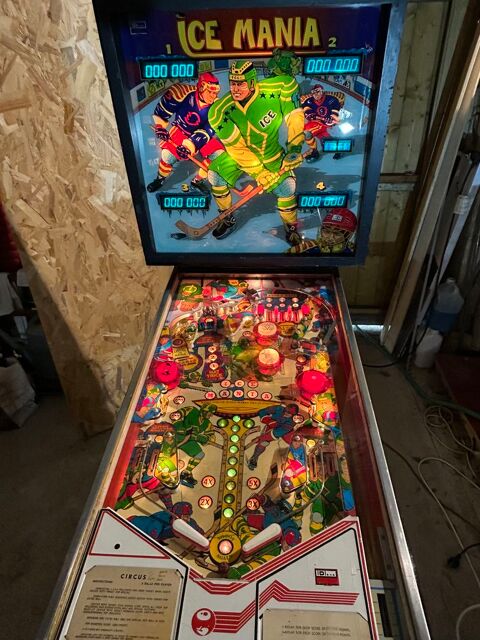 Flipper �lectronique ann�e 85
ICE MANIA
1450 Saint-Laurent-du-Bois (33)