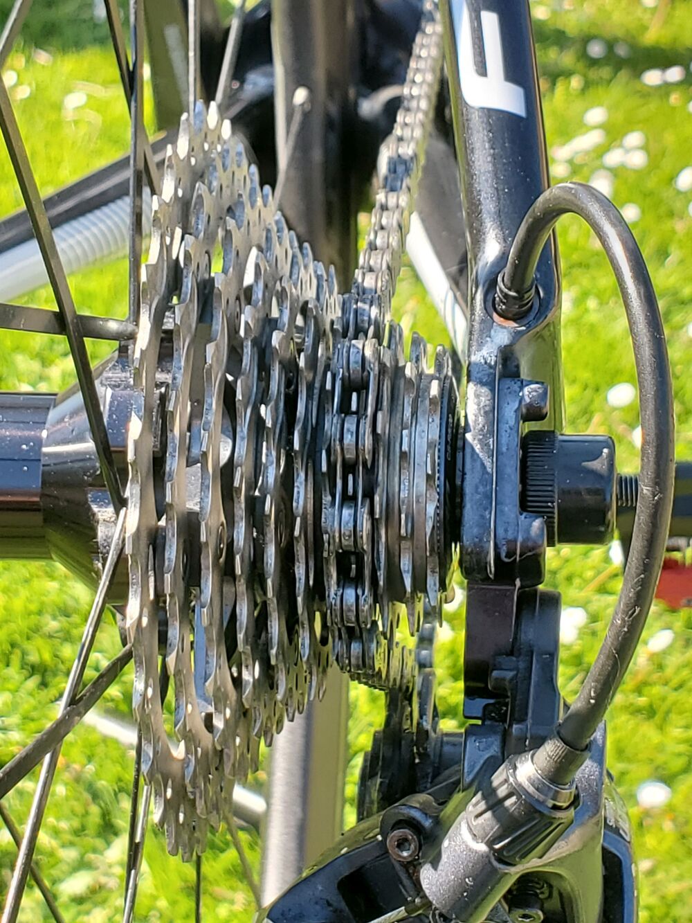 Velo FOCUS tout carbone shimano ULTEGRA
avec accessoires
Vélos