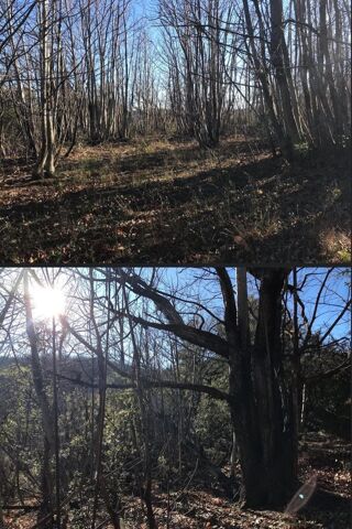  Terrain � vendre 14980 m� Vieussan