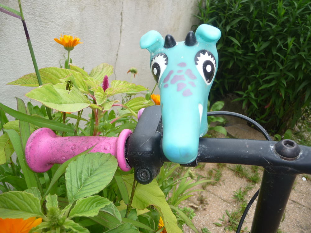 V&eacute;lo petite fille 5 / 6 ans Vélos