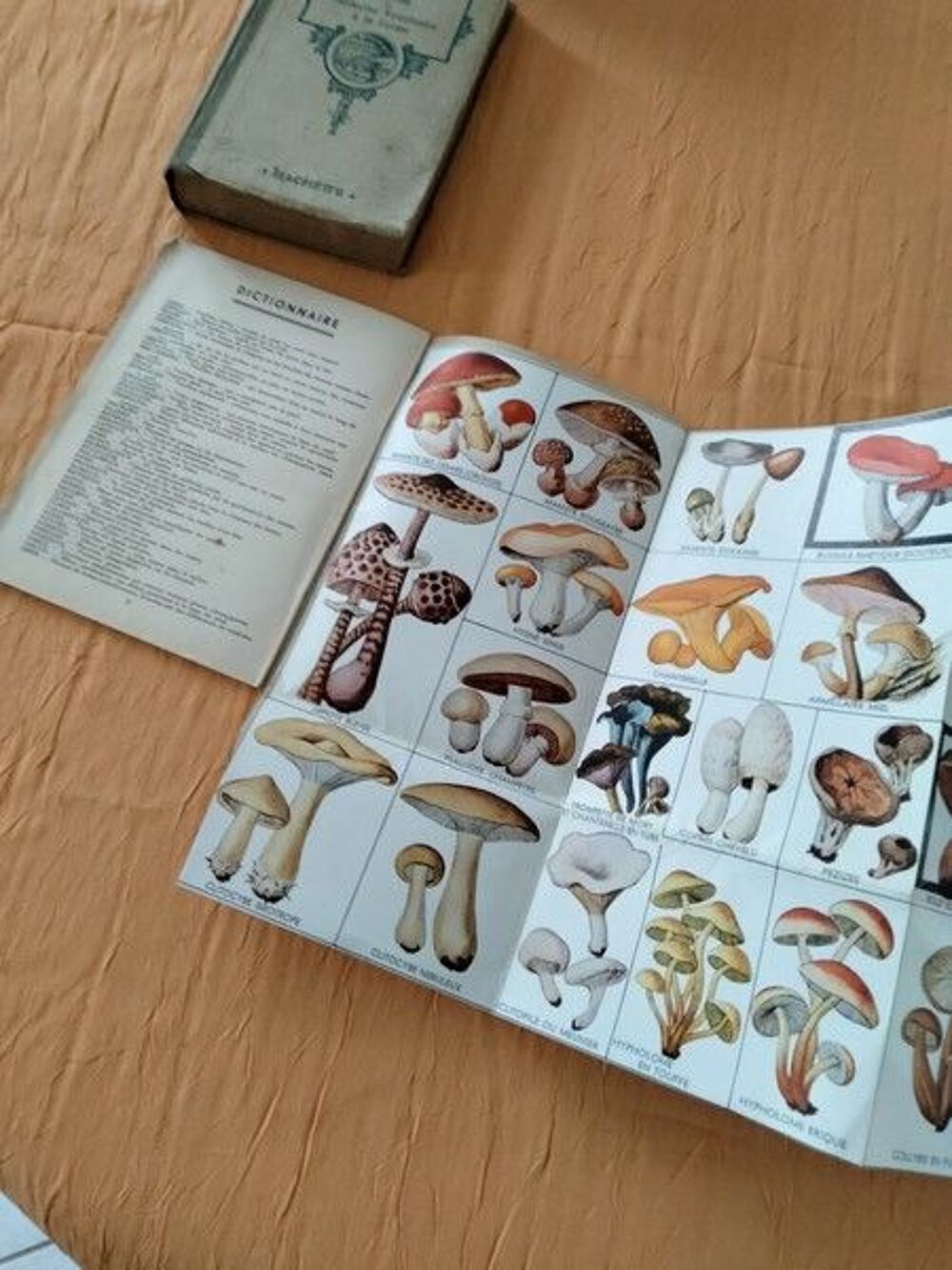 petits livres anciens 