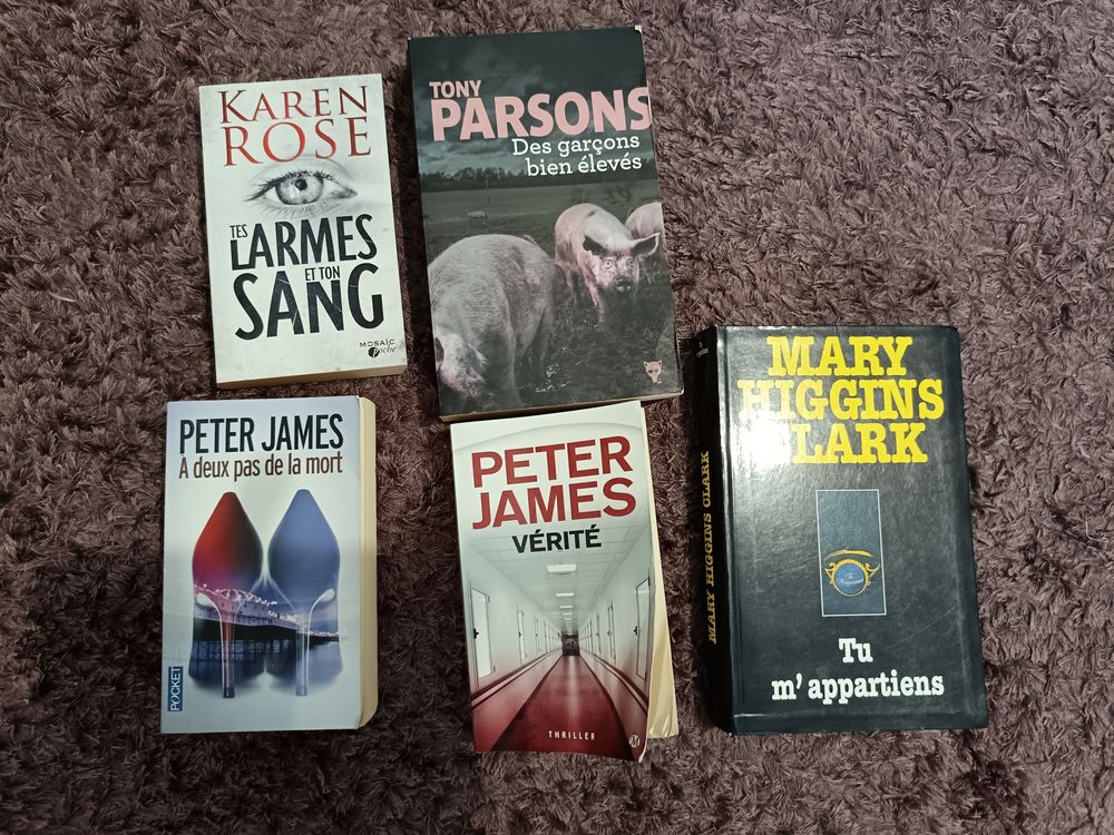 Livres romans thriller &agrave; 2 € l unit&eacute; Livres et BD