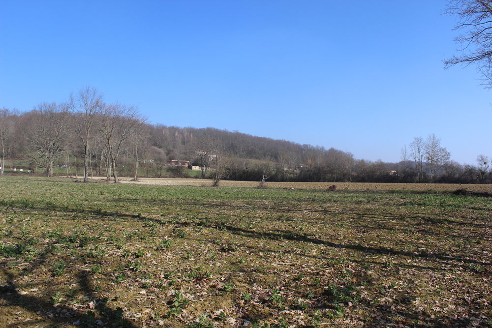 Vente Terrain Terrain à Bâtir secteur MONTREJEAU Montréjeau