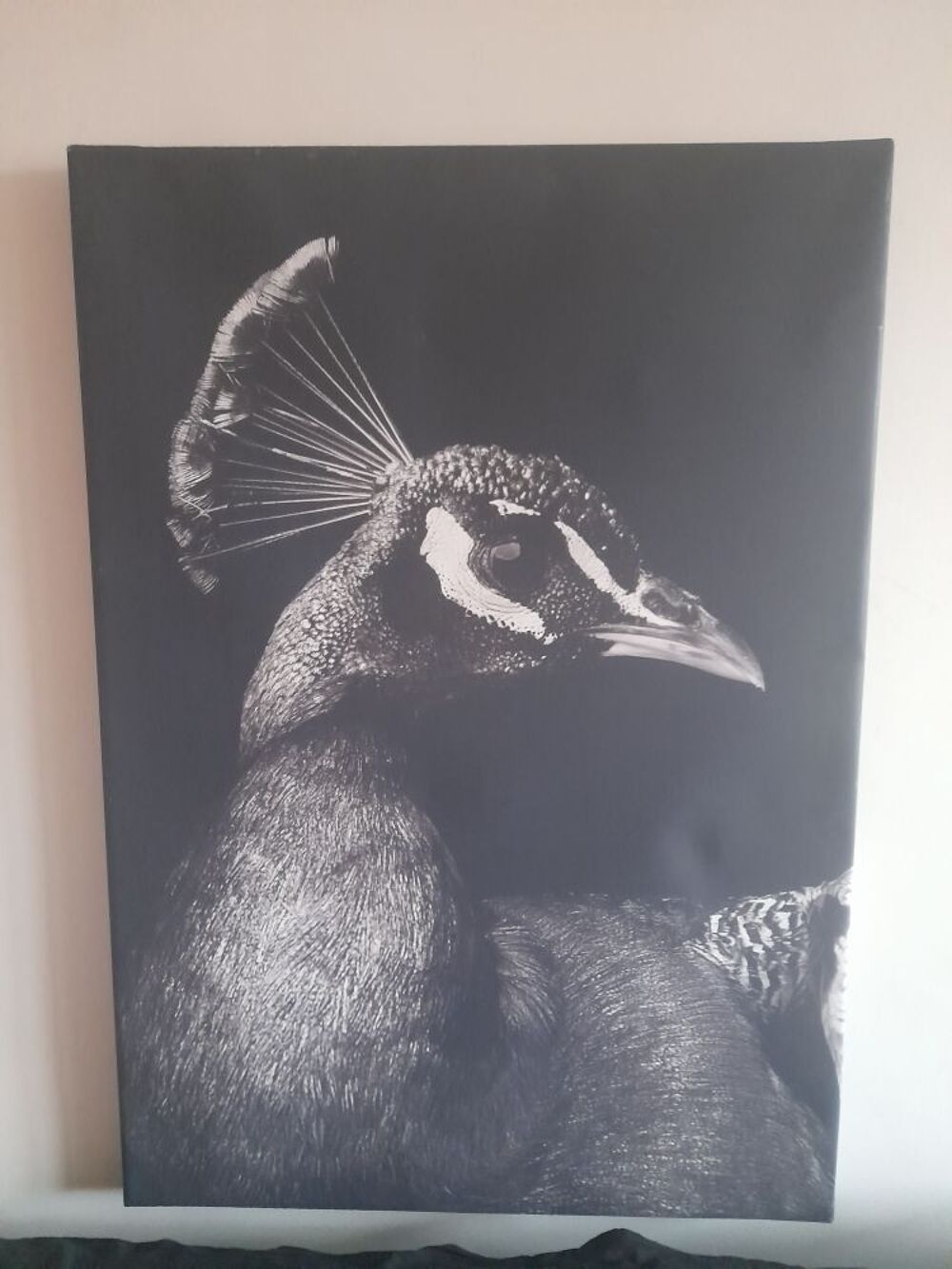 lot 3 tableaux impression sur toile tbe Décoration