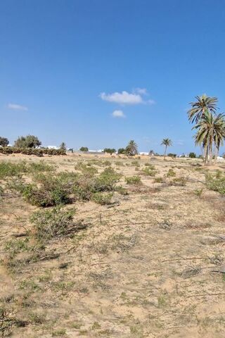  Terrain � vendre 10693 m� Tezdaine djerba